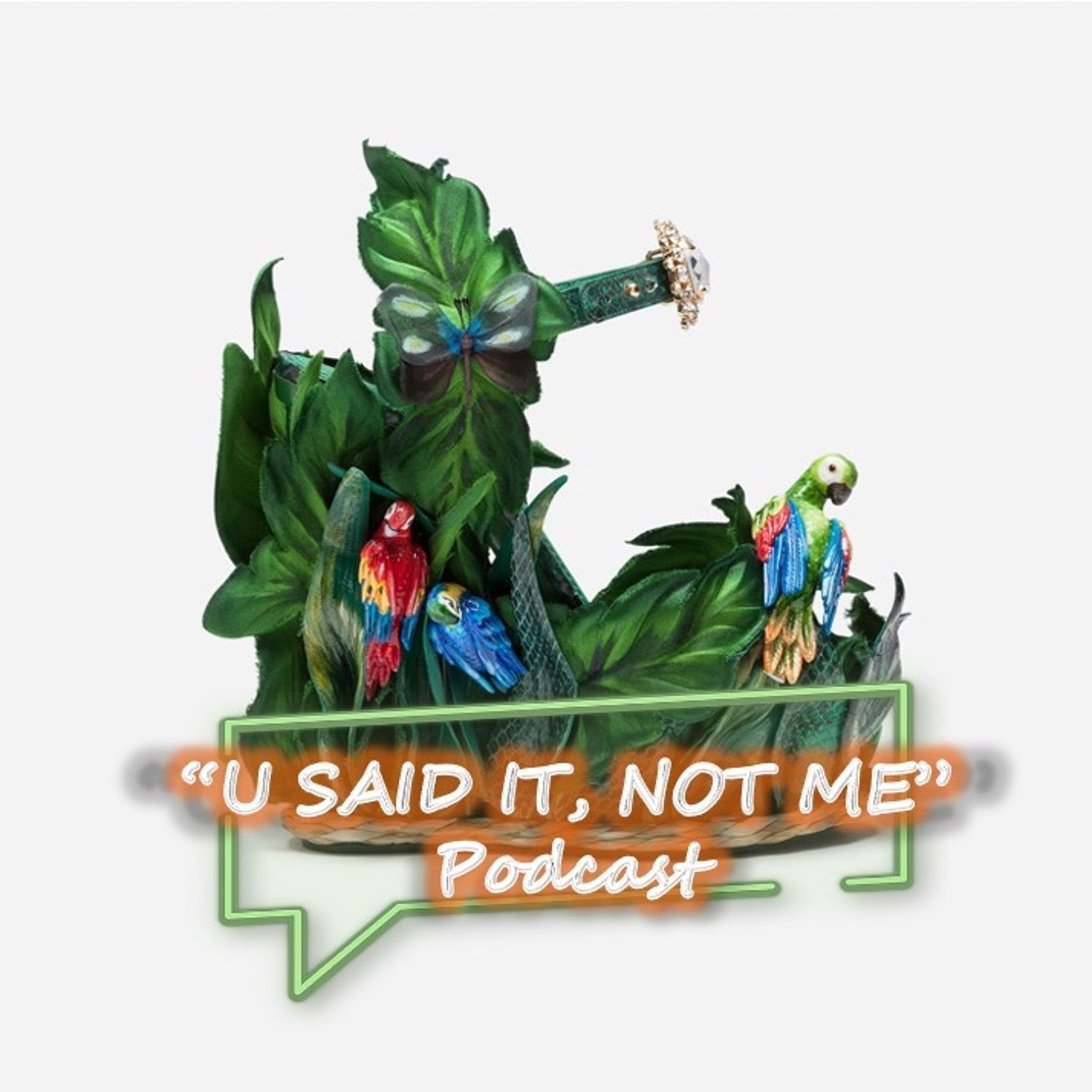 U Said It, Not Me