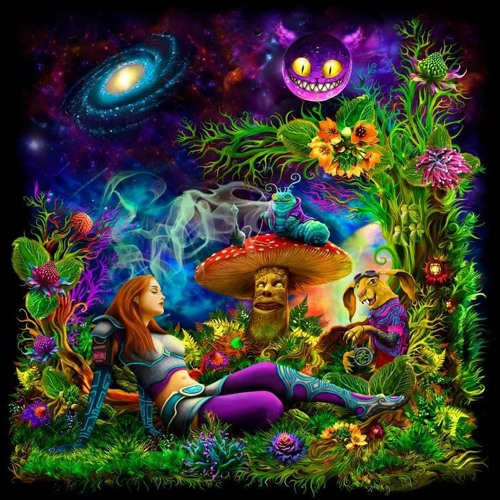 To Wonderland