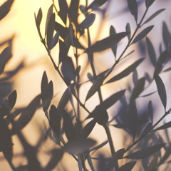 It's 26:00 am (Pt. 1) - Lars N