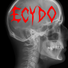 225er KIEFERBRUCH - ECYDO