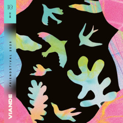 Friendstival 2025 ~ Mix | VIANDE10