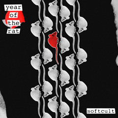 Young Forever