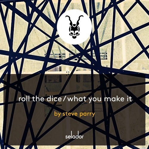 PREMIERE: Steve Parry - What You Make It (Original Mix) [SELADOR]