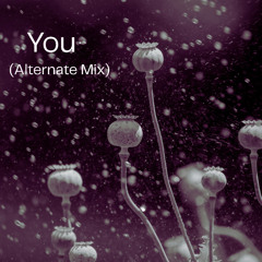 You (Alternate Mix)