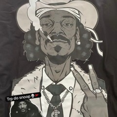 MC NEGRITIN - SNOOP DOGG & BL FREIO DA BARCA E DA CHOQUE ((DJ HR O CLÍNICO👺)) 2K25