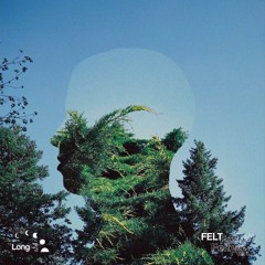 FELT - Nate Traveller