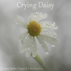 Crying Daisy (A Story In Song)