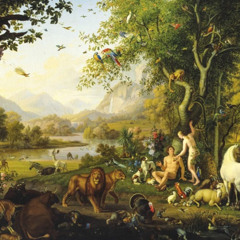 The Garden We Knew