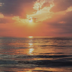 XBAW - Fire Fist 🔥