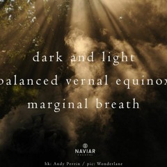 Dark And Light (NaviarHaiku 482)