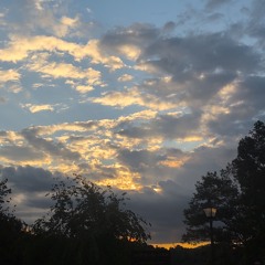 bruises bloom in may