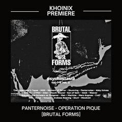 Premiere: Panternoise - Operation Pique [Brutal Forms]