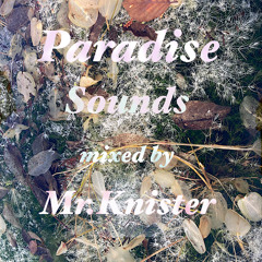 Paradise Sounds mixed by Mr.Knister