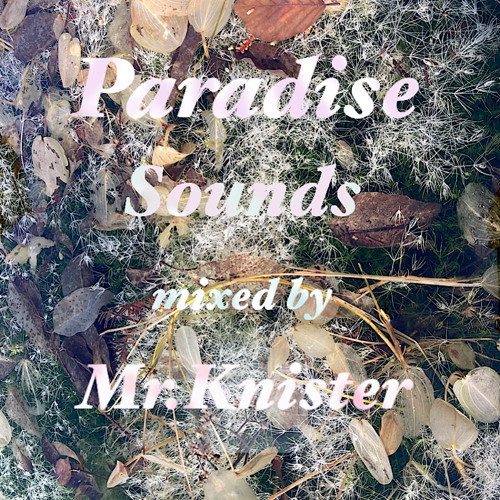 Paradise Sounds mixed by Mr.Knister