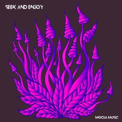 Seek and Enjoy - Mocha Music (Free Download)