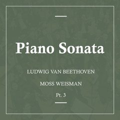Piano Sonata No. 13 in E Flat Major, Op. 27: IV. Allegro vivace, Tempo I, Presto