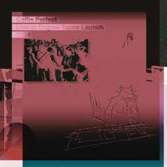 Live at Dogme Tapes Launch '24