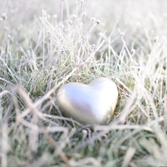 Sincere Heart