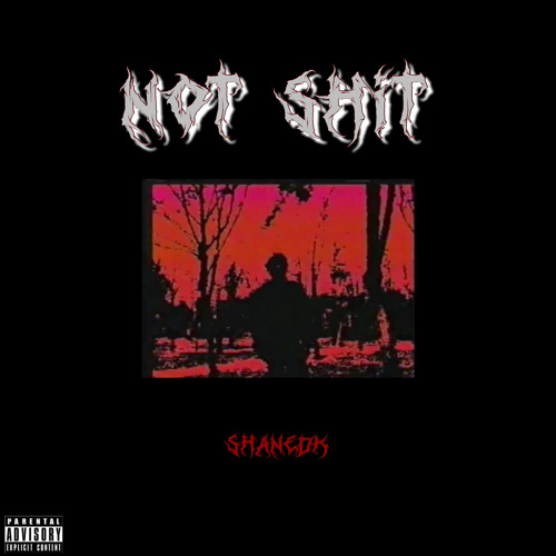 NOT $HIT (Prod. by ShaneDK)