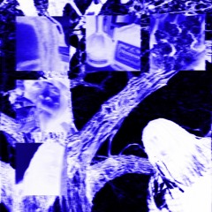 xellfromhell x cybernetic snake - what about us? prod. halo