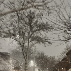 TOMORROW (annie cover)