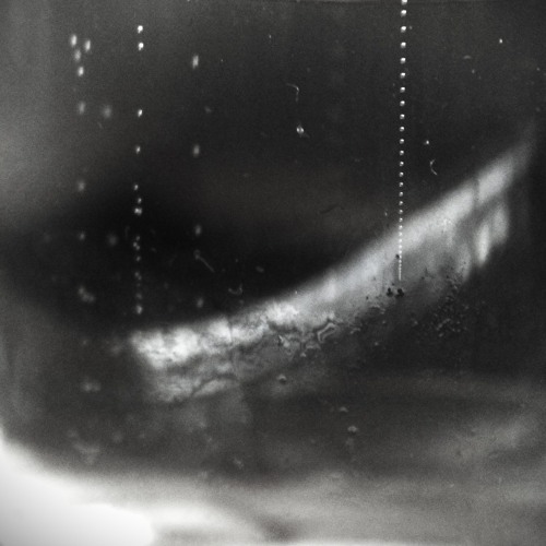 Frozen In The Depths Of The Lake