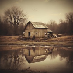 BLUESY  LOUIS - I lost my farm