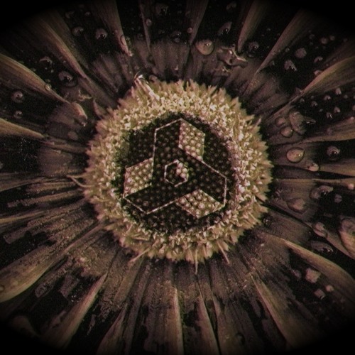 Offish Productions Showcase Mix #09 - Mixed by TRC2 + Offish (Deep Audio Introspection LP premiere)