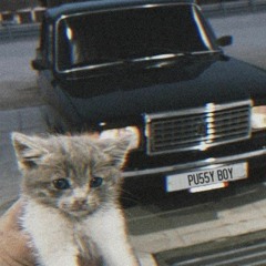 Not playlist but cool