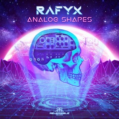 04. Ninesense - Freakonomics (Rafyx RMX)