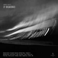 ZRK - Miskar [Counter Pulse 100th]