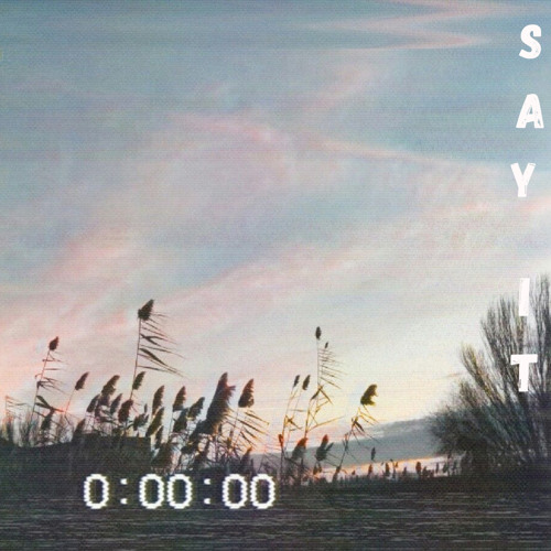 Say It (prod. by YoungTaylor x prodsuli)