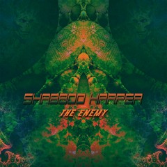 NS920 : Shabboo Harper - The Enemy (Original Mix) [PROMO 31/07/2020]