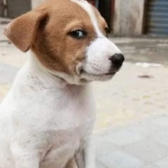 NERVOUS (Prod by. ARMEX)