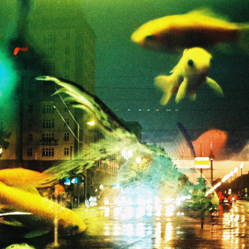 Eternally Collapsing Object