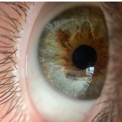 Dragon Eyes (cold)