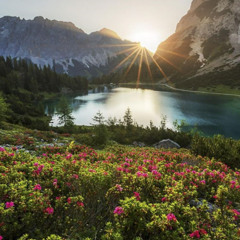 Spirit of the Forest