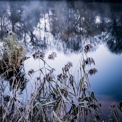 Cold Mornings