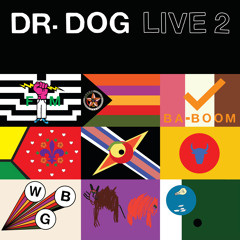 Buzzing in the Light (Live)