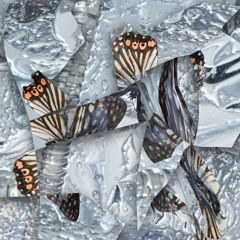 [Swine Premiere] Doux George & Dj Würm - Despised (FÆRIES)