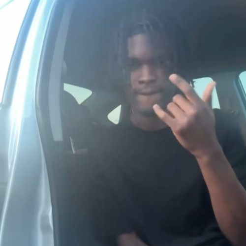 omgkeon - birds on my side (tdf) (looped snippet)