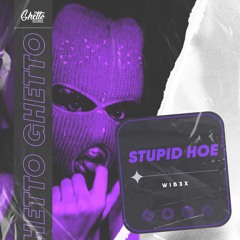 WIB3X - Stupid Hoe