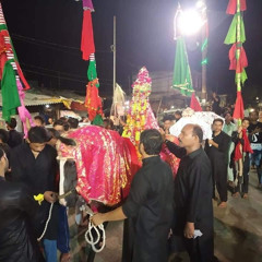 Tera Sehra Na Dekha~Anjuman Sipahe Hussaini Bhanauli Sadat