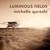 Artwork for Luminous Fields