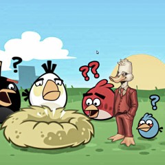 angry birds (woonerf + erdo)