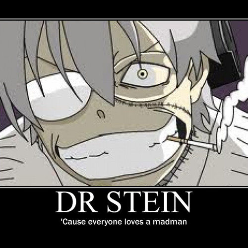 DR. STEIN'S MADNESS