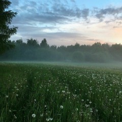 25 Crokked 2 165 Part 1