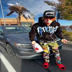 beeshark ft pglocks (perc40)