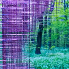 VIVARIUM - STUDIO NEOTRÓPICO