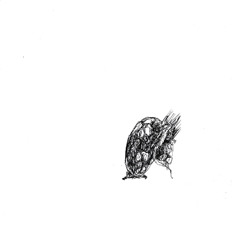 BMG - 25_06_27